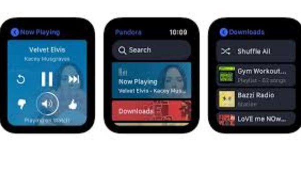 ಸ್ಮಾರ್ಟ್ವಾಚ್ ಸ್ಮಾರ್ಟ್ವಾಚ್