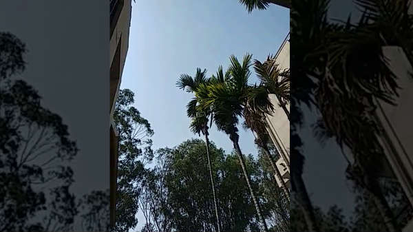  ರಿಕ್ಟರ್‌ ಮಾಪಕ