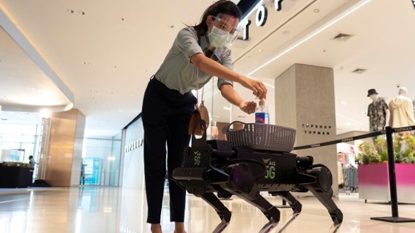 ರೋಬೊಟ್‌ ಡಾಗ್