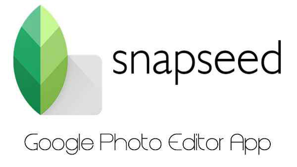 ಸ್ನ್ಯಾಪ್‌ಸೀಡ್‌