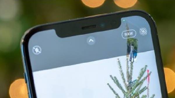 ಬಳಕೆದಾರರು 