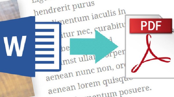 ಪಿಡಿಎಫ್ 