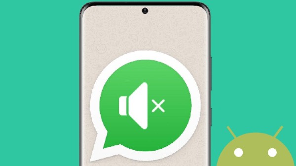 ವಾಟ್ಸಾಪ್‌ ಮ್ಯೂಟ್ ವೀಡಿಯೊ ಫೀಚರ್ಸ್‌ ಬಳಸುವುದು ಹೇಗೆ ?