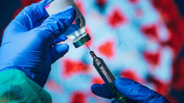 ನಕಲಿ ಲಸಿಕೆ ವೆಬ್‌ಸೈಟ್ 