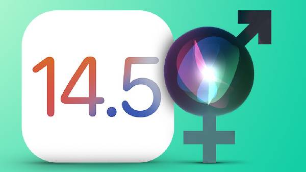 ಸಾಫ್ಟ್‌ವೇರ್ 