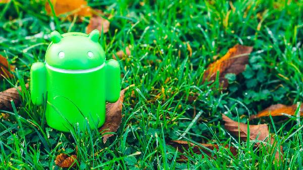 ನೆಟ್‌ವರ್ಕ್ 