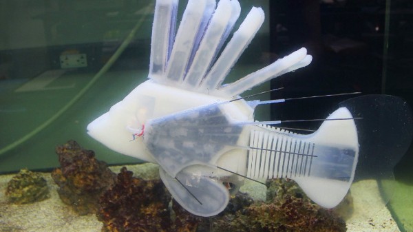 ರೊಬೊಟಿಕ್ ರೊಬೊಟಿಕ್