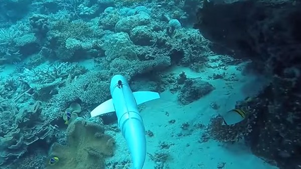 ರೊಬೊಟಿಕ್ ರೊಬೊಟಿಕ್