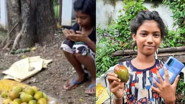 ಸ್ಮಾರ್ಟ್‌ಫೋನ್‌ 