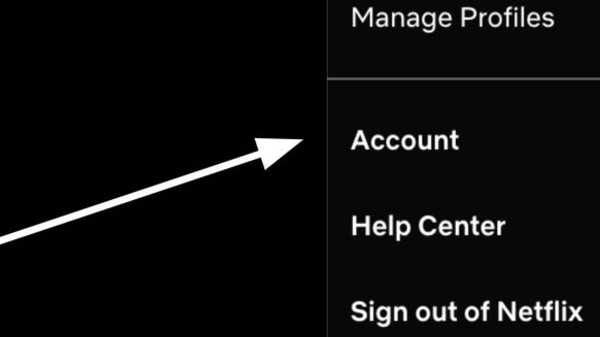 ನಿಮ್ಮ ನೆಟ್‌ಫ್ಲಿಕ್ಸ್ ಪ್ರೊಫೈಲ್ ಅನ್ನು ಲಾಕ್ ಮಾಡುವುದು ಹೇಗೆ?