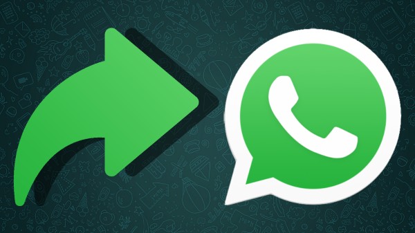 ವಾಟ್ಸಾಪ್ ವಾಟ್ಸಾಪ್