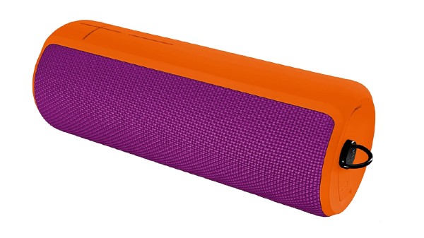 UE ಬೂಮ್ 2 ಬ್ಲೂಟೂತ್ ಸ್ಪೀಕರ್‌