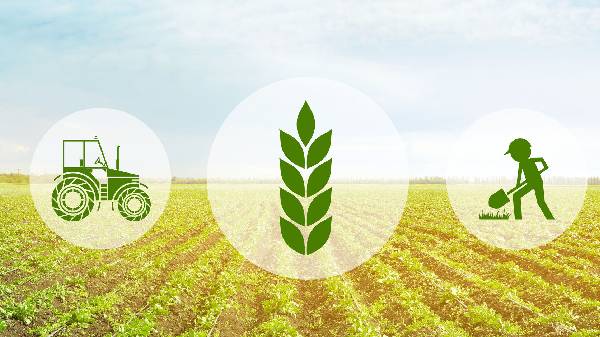 ಅರ್ಜಿ ಸಲ್ಲಿಸುವುದು ಹೇಗೆ?