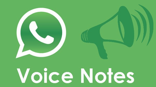 ವಾಯ್ಸ್ ವಾಯ್ಸ್