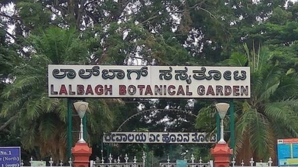 ಲಾಲ್ಬಾಗ್ನಲ್ಲಿ ಡಿಜಿಟಲ್ ಕ್ಯಾಮೆರಾ ನಿಷೇಧ: ಕಾರಣ ಏನು? ಲಾಲ್ಬಾಗ್ನಲ್ಲಿ ಡಿಜಿಟಲ್ ಕ್ಯಾಮೆರಾ ನಿಷೇಧ: ಕಾರಣ ಏನು?