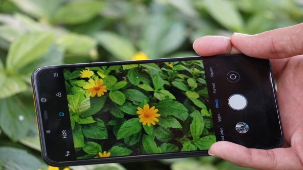 ಕಡಿಮೆ ಬೆಲೆಗೆ ಬೆಸ್ಟ್‌ ಕ್ಯಾಮೆರಾ ಫೋನ್‌ ಬೇಕೆ?..ಈ ಫೋನ್‌ಗಳು ಸೂಕ್ತ ನೋಡಿ!