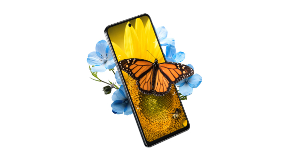 ಆಫರ್‌ ಬೆಲೆಗೆ 108ಎಂಪಿ ಕ್ಯಾಮೆರಾ ಇರುವ ಫೋನ್‌ ಖರೀದಿಸಲು ಇದು ಒಳ್ಳೆಯ ಚಾನ್ಸ್‌!