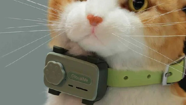 MWC 2025: ಹೊಸದಾಗಿ PetPhone ಪರಿಚಯಿಸಿದ ಮೊಬೈಲ್ ಕಂಪೆನಿ! MWC 2025: ಹೊಸದಾಗಿ PetPhone ಪರಿಚಯಿಸಿದ ಮೊಬೈಲ್ ಕಂಪೆನಿ!