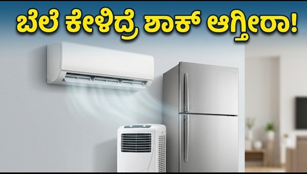 ಫ್ಲಿಪ್‌ಕಾರ್ಟ್ ಸೇಲ್: ಎಸಿ, ಫ್ರಿಜ್‌ಗಳ ಮೇಲೆ ಭರ್ಜರಿ ಆಫರ್