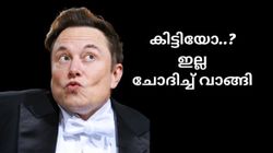 കിട്ടിയോ... ഇല്ല ചോദിച്ച് വാങ്ങി; മസ്ക് അണ്ണന്റെ 
