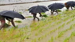 രണ്ട് വള്ളത്തിൽ കാലുവച്ചുള്ള പരിപാടിയില്ല, സമ്മർ മൺസൂൺ കൃത്യം കൃത്യമായി പ്രവചിക്കാൻ എഐയുമായി ഇന്ത്യ
