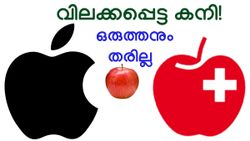 ആപ്പിൾ കാണിച്ച് ഒരുത്തനും വിലസേണ്ട; 111 വർഷം പഴക്കമുള്ള ഫ്രൂട്ട് കമ്പനിയുടെ ലോഗോയ്ക്കെതിരേ ആപ്പിൾ