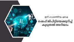 ആകെ ഉള്ളത് വെണ്ടയ്ക്ക, ഇതുകൊണ്ട് എന്തൊക്കെ ഉണ്ടാക്കാൻ സാധിക്കും? നിരവധി ഭക്ഷണമെന്ന് ഷെഫ് ജിപിടി