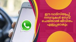 അരിവാങ്ങാൻ മുതൽ ഫ്ലൈറ്റ് ടിക്കറ്റ് ബുക്ക് ചെയ്യാൻ വരെ വാട്സ്ആപ്പ്; അറിഞ്ഞിരിക്കേണ്ട കാര്യങ്ങൾ