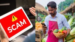പച്ചക്കറി കച്ചവടക്കാരൻ ഓൺലൈനിൽ തട്ടിപ്പ് ആരംഭിച്ചു; ആറ് മാസത്തിൽ സമ്പാദിച്ചത് 21 കോടി 