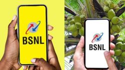 സൂക്ഷിച്ചും കണ്ടും ചെയ്യാം! 30 ദിവസ വാലിഡിറ്റി ഫ്രീയായി നൽകുന്ന ഓഫർ മാർച്ച് 1 വരെ നീട്ടി ബിഎസ്എൻഎൽ