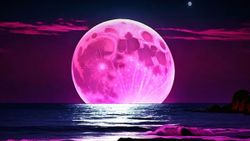 pink moon 2024 - ഇത് വായിച്ചിട്ട് നിങ്ങൾ റൊമാന്റിക് ആയാൽ ഞങ്ങൾ ഉത്തരവാദി അല്ല