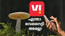 പിശുക്കി, എങ്കിലും വെ​റൈറ്റിയാണ്! VI വോയ്സ്- എസ്എംഎസ് ​ഒൺലി പ്രീപെയ്ഡ് പ്ലാൻ പുറത്തിറക്കി