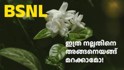 മറന്നെങ്കിൽ ഓർമിപ്പിക്കാം! 5-6 മാസത്തേക്ക് റീച്ചാർജ് ​​ഒഴിവാക്കാൻ ഈ ഒരു BSNL പ്ലാൻ ആണ് ബെസ്റ്റ്