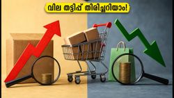 ഫ്രീഡം സെയിൽ: വില കൂട്ടി തട്ടിപ്പ്! ഓഫറുകളിൽ വീഴാതിരിക്കാൻ ഈ ട്രിക്ക് പരീക്ഷിക്കൂ