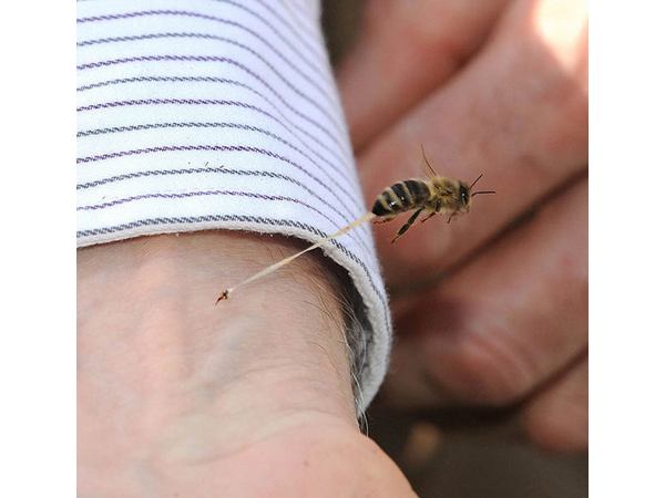 പോവാണോ ?