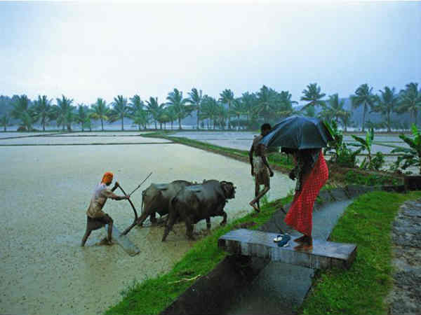 മഴയെ സ്‌നേഹിച്ച വിക്ടര്‍ജോര്‍ജ്