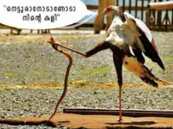 ഫേസ്ബുക്ക് ഫോട്ടോകള്