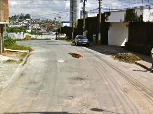 Snapshots of Life Captured on Google Street View