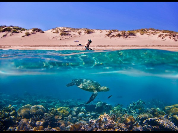 Sony World Photography Award 2013 