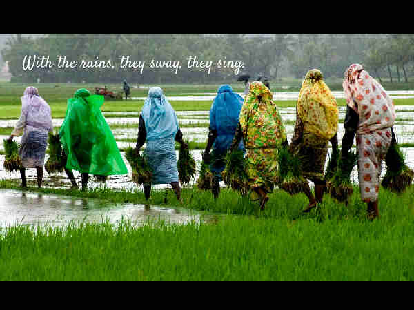 when-it-rains.com