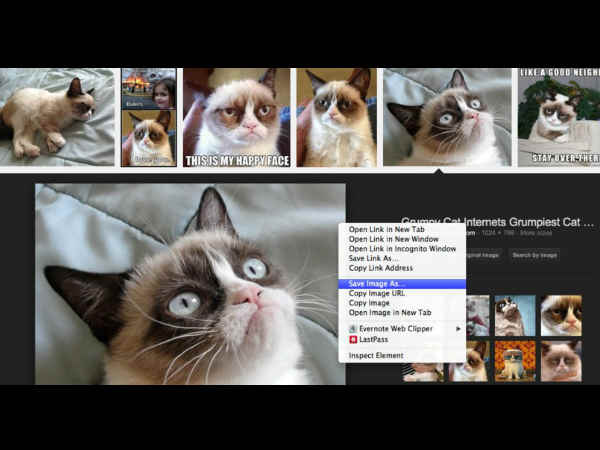 Downloading Files and Using Without Permission
