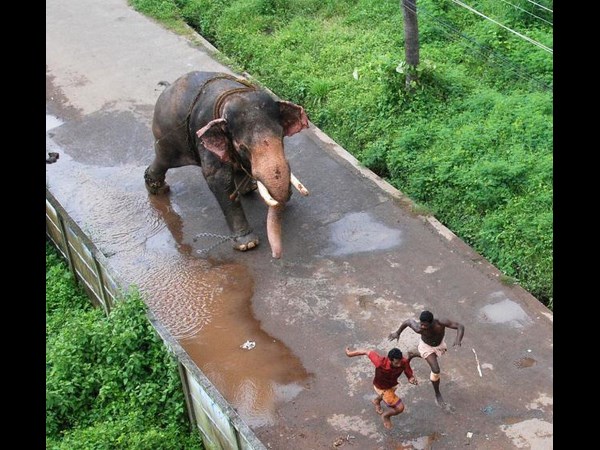 കാണാതിരിക്കരുത് ഈ കാമറക്കാഴ്ചകള്‍