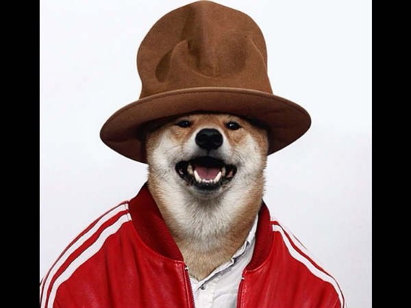 മെന്‍സ്‌വെയര്‍ ഡോഗ് (mensweardog)