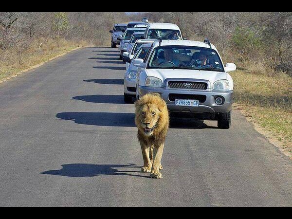 #26