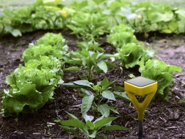 നിങ്ങളുടെ ജീവിതം മാറ്റി മറിക്കുന്ന ഗാഡ്ജറ്റുകള്‍...!