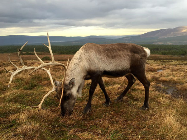 ശ്വാസം സ്തംഭിപ്പിക്കുന്ന ഐഫോണ്‍ 6 ചിത്രങ്ങള്‍ ഇതാ...!