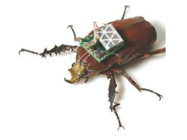 യഥാര്‍ഥ ജീവികളെ റിമോട്ടുകൊണ്ട് നിയന്ത്രിക്കാവുന്ന കാലം അടുത്തെത്തി...!