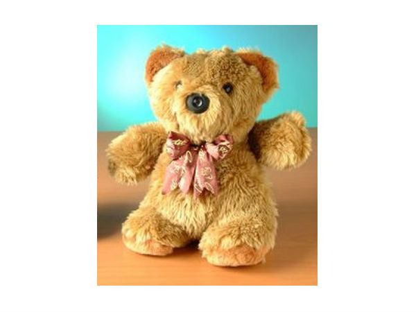 നിത്യജീവിതത്തില്‍ ഉപയോഗിക്കേണ്ട ചാര ക്യാമറകള്‍...!