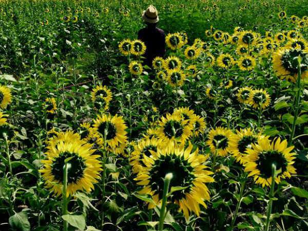 ഐഫോണ്‍ ക്യാമറാ നിറഞ്ഞാടിയപ്പോള്‍ പതിഞ്ഞ ചിത്രങ്ങള്‍...!