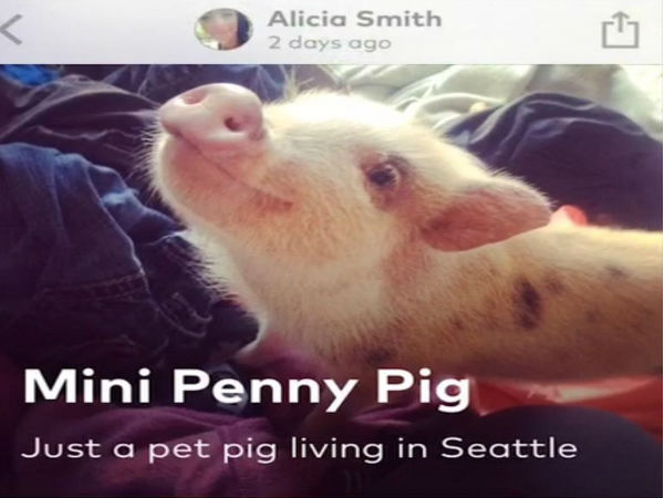 ആന്‍ഡ്രോയിഡ് ഉപയോക്താക്കളെ അസൂയാലുക്കളാക്കുന്ന 10 ഐഫോണ്‍ ആപുകള്‍...!